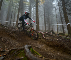 Top on Trail DH Serie Kouty nad Desnou 2026